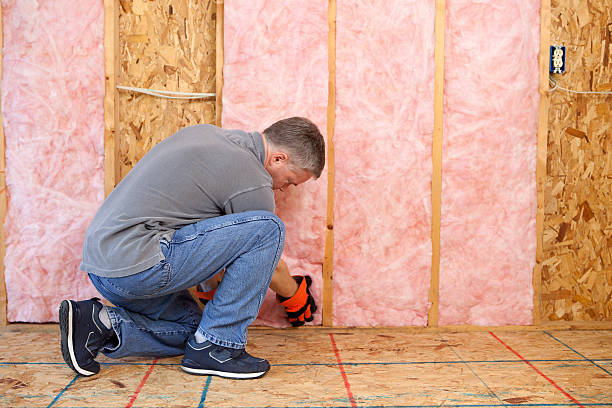 Best Types of Insulation in USA